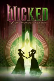 Wicked: One Wonderful Night
