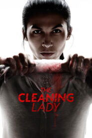 The Cleaning Lady: Season 4