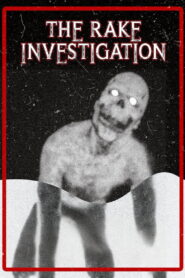 The Rake Investigation